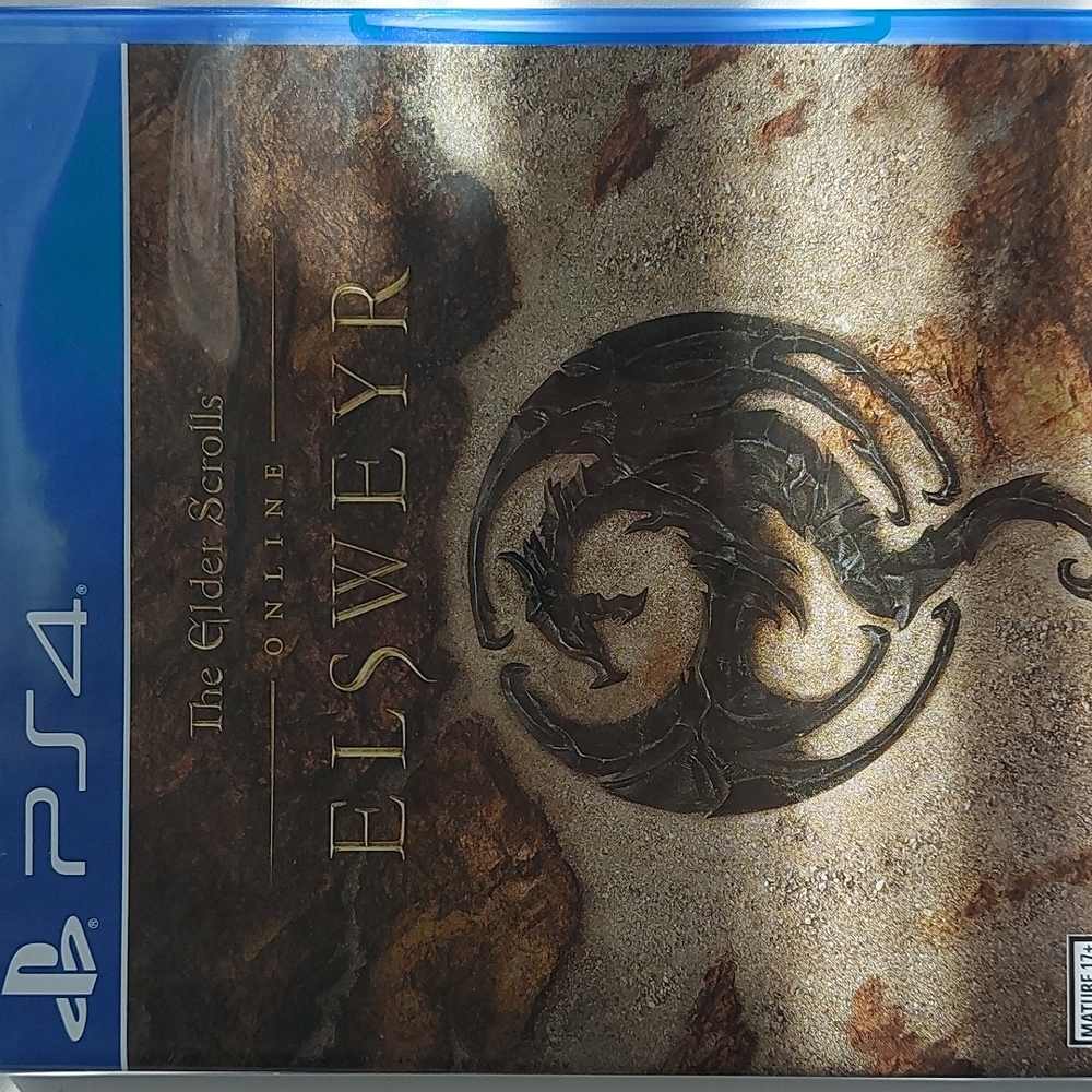 PS4 video game
